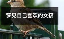 梦中出现心仪女生:我做梦梦到喜欢的女孩了