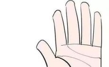 富有和贵族手的特征、差异及其与普通人手的比较