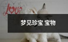 做梦时目睹奇珍异宝,以及珍贵物品展现于梦中