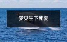 在梦中见到生下已经逝去的婴儿:探讨潜意识中可能存在的情感和精神层面的意义