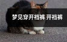 出现在梦中:穿着开裆裤的奇异梦境