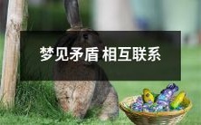 梦见矛盾相互联系:探究梦境中矛盾元素之间的存在意义和潜在影响