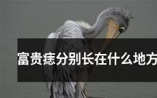 富贵痣在人体哪个部位长最恰当?——解密富贵痣的奥秘