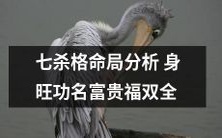 对七杀格命局进行深度剖析:身旺助功名,财源广进,福祉双倍增长