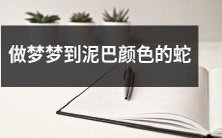 在梦中眼见泥泞色彩的蛇缠绕身旁:一场微妙而令人恍惚的奇异梦境