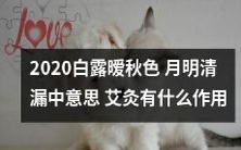 2020年白露时节的暧秋色中,月色透过清漏显意蕴,你知道艾灸能为身体带来哪些益处吗?