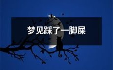 做梦时经历踩到一脚粑粑的糟糕感受:如何解读并应对这种梦境?