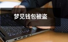 在梦中经历钱包被盗的梦境:一种深层心理思考的探究