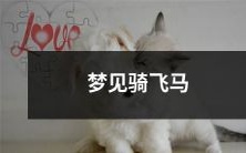 在梦中体验着飞驰在高空上的极致快感——梦见骑乘翱翔天际的神奇飞马!