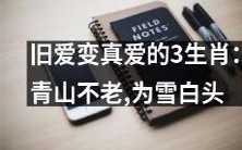 三种生肖在爱情中流转,旧情复燃变为真爱,展现出青春永驻、爱情常在的神奇力量,且这份真爱可以经得起时间的考验,长埋于岁月中,直至白发苍苍,仍格外璀璨,选择它们,白头偕老并非遥不可及,爱情也不再处于青春的时光之内