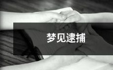 在梦中见到被警察逮捕:探索内心深处的不安和恐惧感受