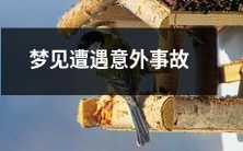 在梦中经历了突然而来的不幸意外事故的经历