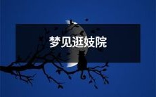 我梦见自己逛妓院了,这让我感到不安和尴尬,需要解读和分析