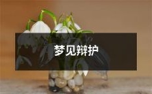 我在梦中经历了辩论与挑战:探究梦境中的辩护能力与心理反应