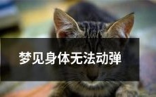 夜晚的梦境:身体如同定格,难以自如运动!