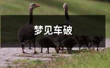 梦见汽车遭受毁坏状况的场景:车辆被破坏的梦境