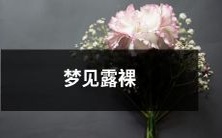 梦见自己在草地上躺着,身上只穿着一件薄薄的睡衣,白茫茫的露珠像水晶般晶莹剔透地覆盖在身上,静谧的夜晚中想必是无数人心中的最美梦境