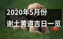 详细了解2020年5月份的谢土黄道吉日,不要错过任何黄道吉日的机会!