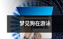 今晚我做了一个奇妙的梦,梦见一只可爱的小狗在清澈的湖水里尽情地游泳,让人心旷神怡!