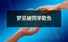 在梦中遭到同班同学欺负的经历:一位梦境中的心理揭示