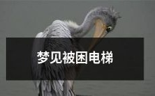 在梦中经历被困电梯的恐怖体验