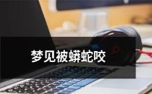 梦境中经历被巨蟒猛咬的感受与象征:探索梦境解读的可能性和心理学启示