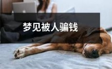 在梦中经历他人欺诈骗取财物的情况