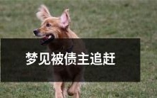 沉浸在梦中惊醒!夜间幻境中被众多债主穷追猛打,心惊胆战的惊恐体验!