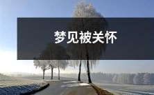 梦见身处温馨关怀之中的美好梦境