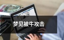 夜晚梦境:身临其境,惊心动魄,被肆意奔腾的大牛攻击!