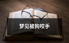 做梦穿越异境,惊骇现实世界!想象成为一条狗咬手的痛苦经历,由此引发的心理深度分析!