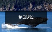 在梦中遭遇诉讼的情景:究竟代表着什么深层含义?