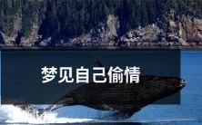 做了一个梦,梦见自己在偷情,陷入深深的道德困境与情感纠葛中!