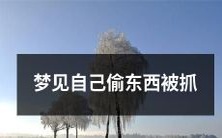 在梦中经历:我窃取物品、被发现并逮捕的梦境