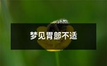 在梦中经历胃部不适的情况,引起担忧和焦虑的可能原因及应对方式