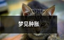 如何解读梦见身体肿胀的隐含寓意及其对应的精神状态?