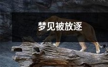 进入一个神秘世界:梦中被放逐到一个未知领域的探究与反思