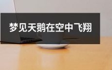 今夜梦见白色天鹅在宁静的空中飞翔,翅膀扇动的声音如同天籁之音