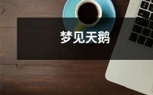 在梦中遇见了优美的白天鹅:从梦境中探究天鹅的符号含义