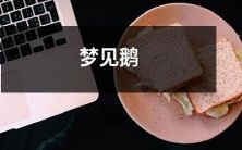 在梦中看到优美白鹅:东方文化中鹅代表着什么?