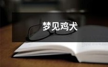 奔跑的场景,似乎带有某种奇妙深意