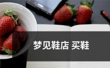 在梦中到鞋店购鞋的奇妙体验:着眼于梦境中的鞋店、搜索适宜的鞋款、考虑购买的动机以及最终达成的成就感