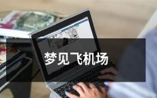 在梦中遨游:探索梦见飞机场所蕴含的意义、象征与启示