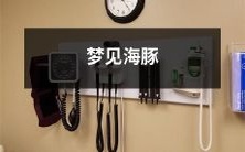 在梦中遇见海豚:探究潜意识中海洋与自我意识的交汇点