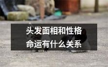 头发与面相及性格的相互关联:探讨发型对人命运的影响