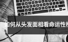如何通过观察发型和面相来探测一个人的命运和性格特点?