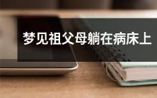 梦见祖父母身陷病榻,弥漫着病痛和无助的情感,而自己旁观无能的情景感到焦虑和无奈