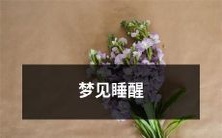 有关梦境与现实的转变:当梦境逐渐消散,睡眠醒来后的感悟与思考