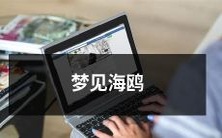 在充满诗意的梦中,惊艳海鸥展翅翱翔,畅想无边海洋的自由与美丽