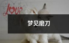 的寓意是什么?解析梦境中磨刀意象的意义和引申意义